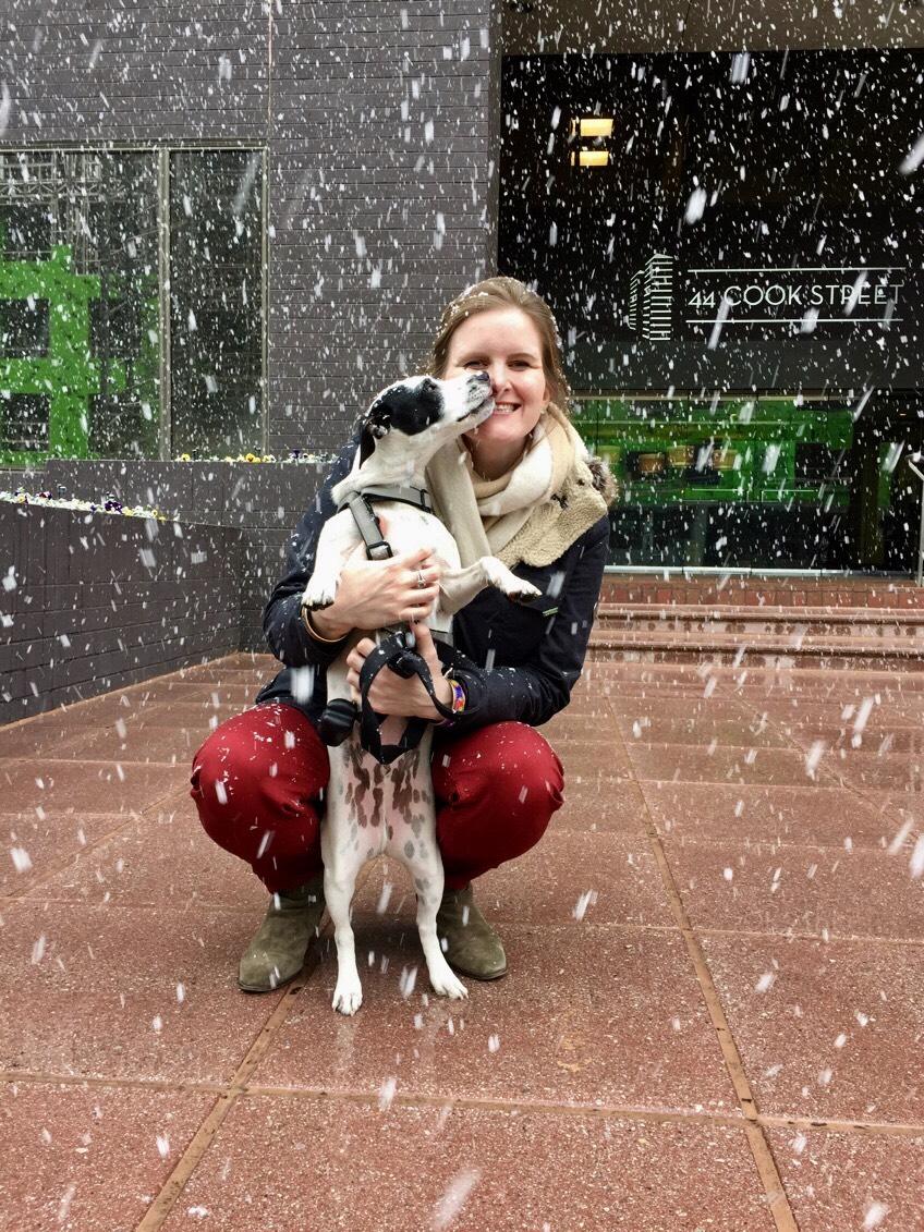 A team member weathers the storm with our office dog, Louis!