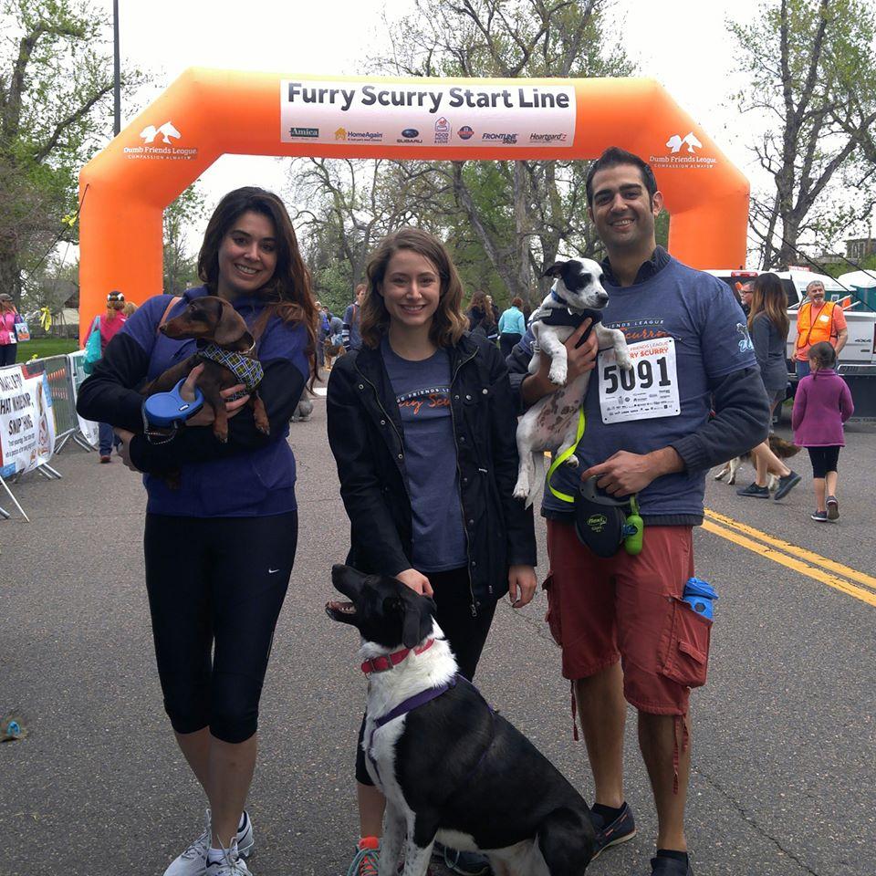 Team members and their pets enjoy the Furry Scurry, benefiting a local Denver animal shelter.