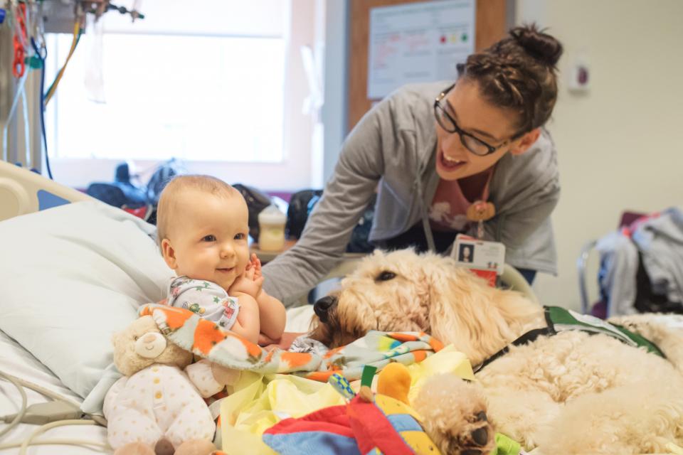 Our facility dogs make everyone feel at home.