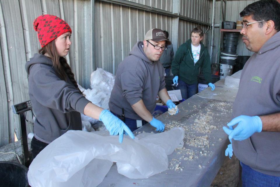 Employees helping out with a Waste Audit