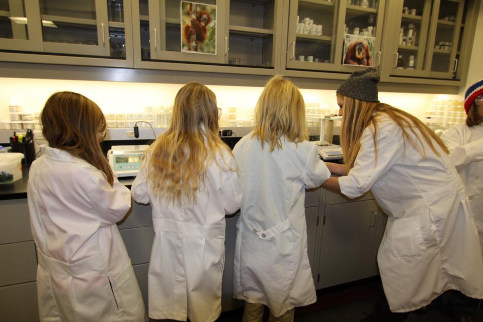Bring Your Kids to Work Day: Tomorrow's Green Chemists!
