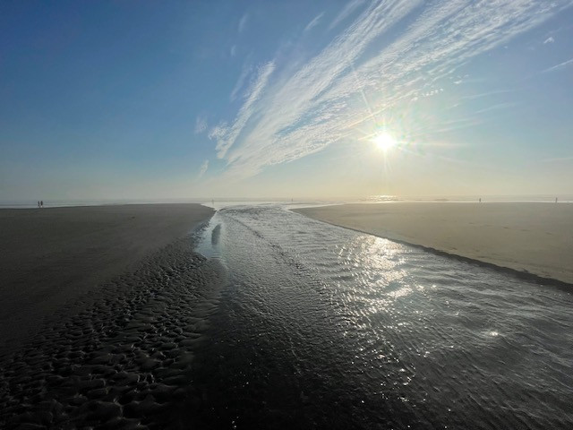 The future is bright and inspiring! Look to the horizon - Onward  my colleagues!