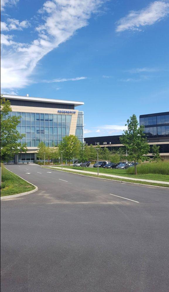 Regeneron Pharmaceuticals Inc Photo