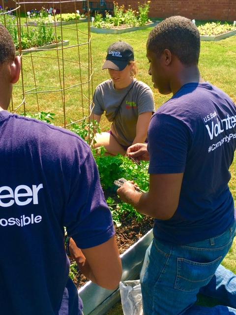 Twin Cities volunteers helped a local non profit plant and maintain gardens