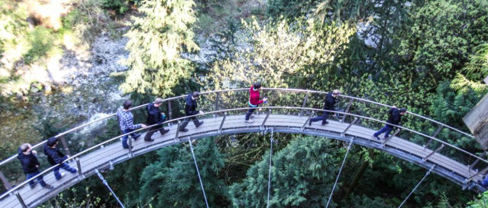 xPerts enjoying a day together walking high above the trees at Capilano Suspension Bridge Park