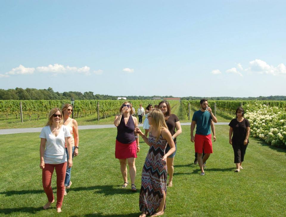 NY office on a summer team outing to a vineyard