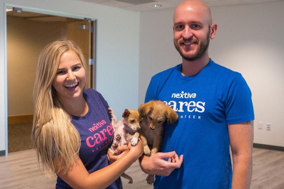 Nextiva Cares volunteers playing with puppies visiting from the Arizona Humane Society