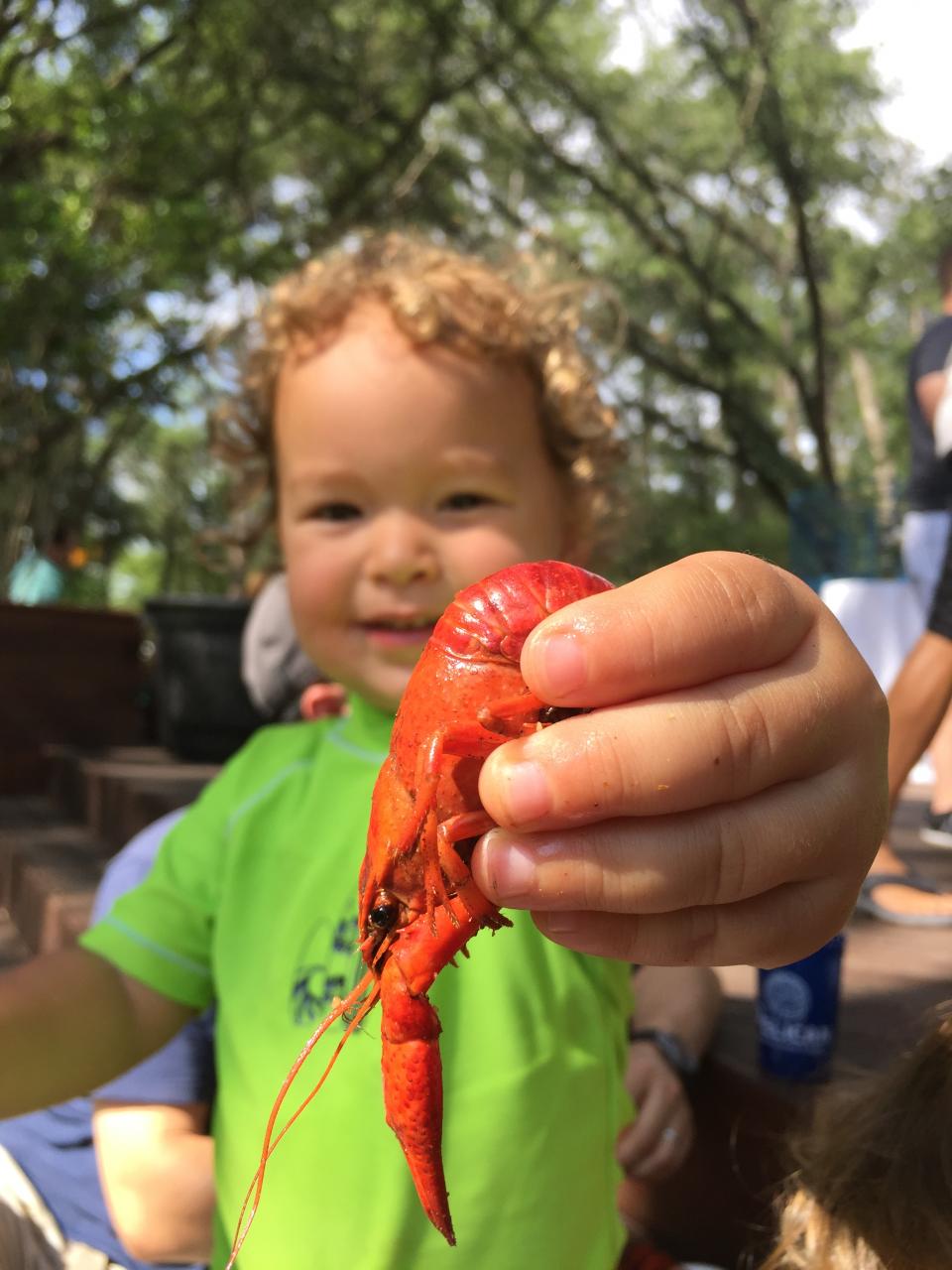 Mud Bugs!!