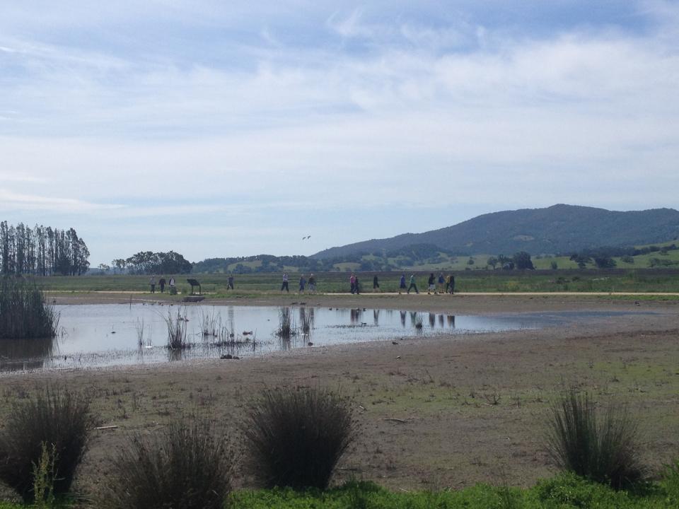 Workrite employees enjoying a lunch time walk at the nearby regional park.