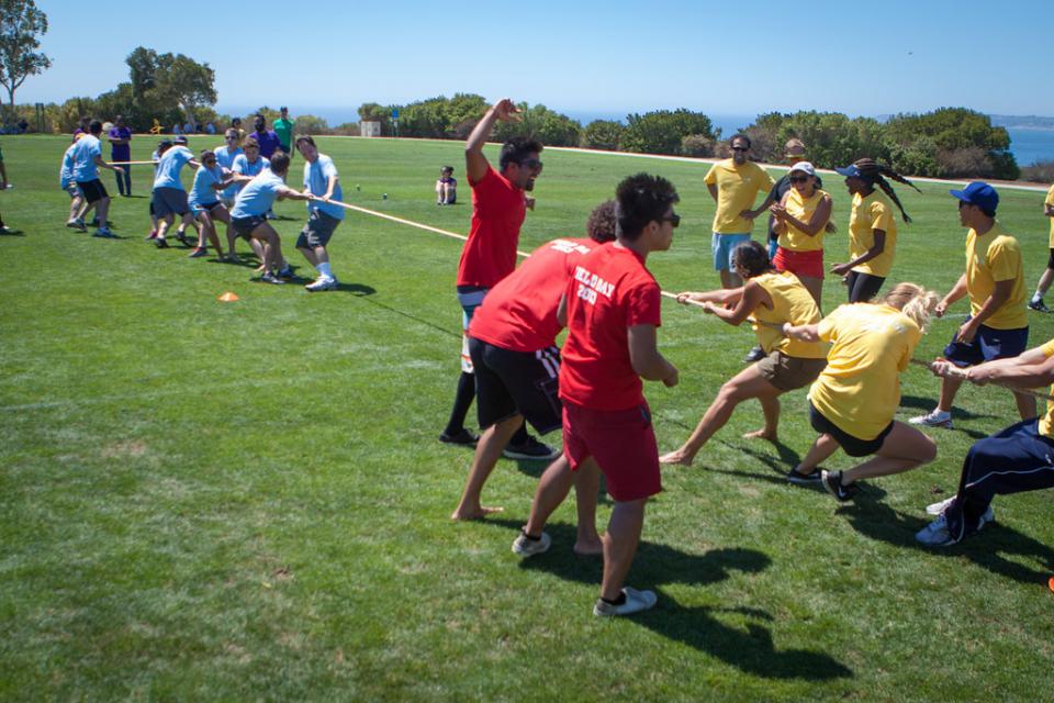 Malibu employees competing in tug-of-war at field day.