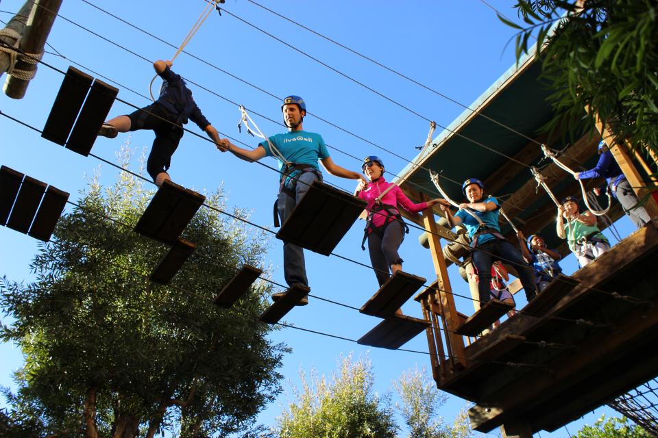 Employees use ropes course for teambuilding