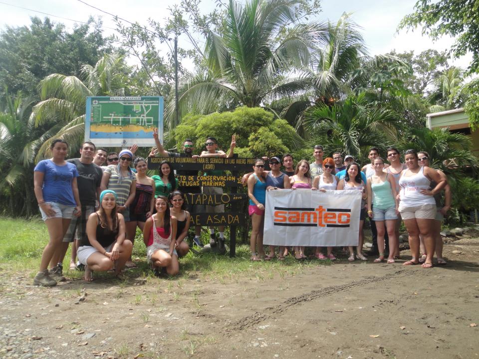 Humanitarian Effort - Saving Baby Sea Turtles