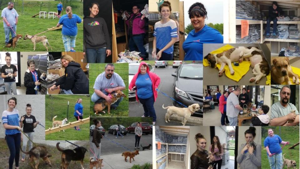 AGL Employees volunteered at the SPCA of Martinsville & Henry County.