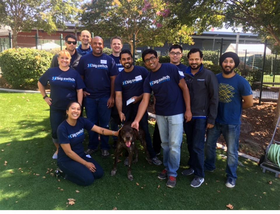 Team BSN volunteer day: Humane Society Silicon Valley