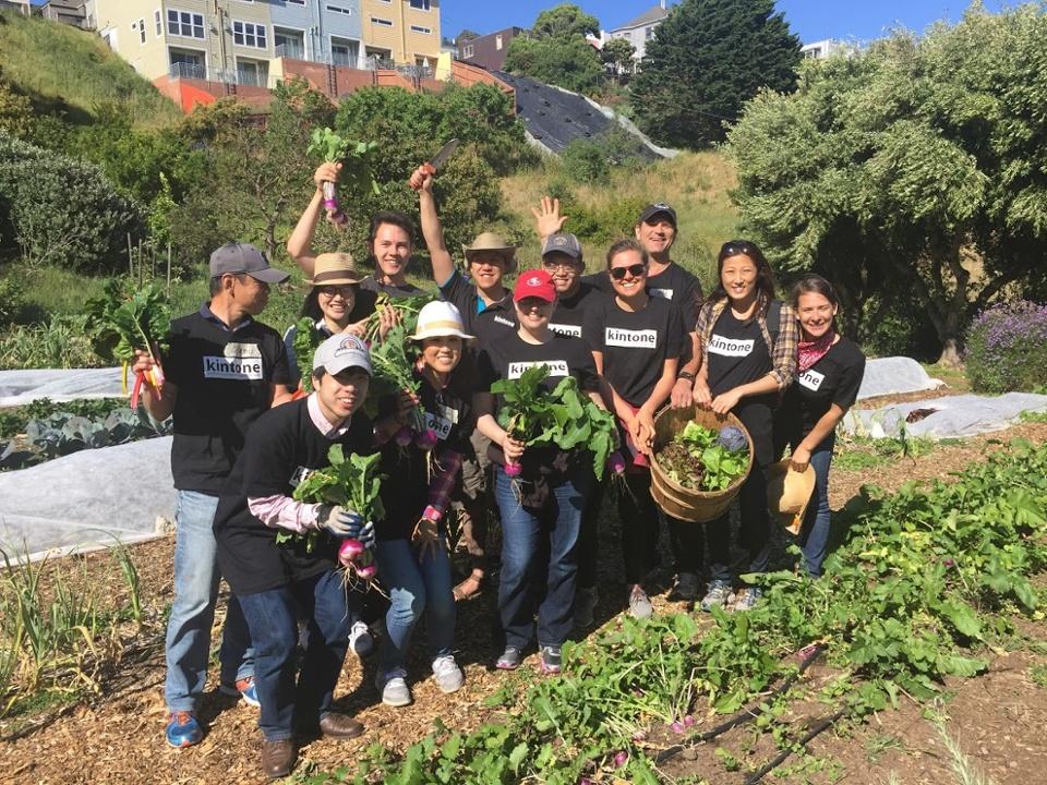 Volunteer Day at Alemany Farms in San Francisco