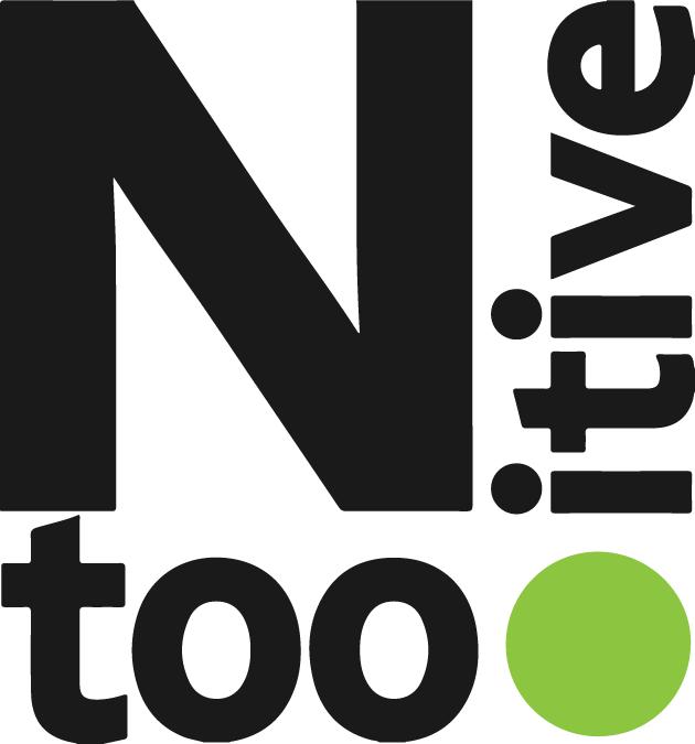 Ntooitive Logo