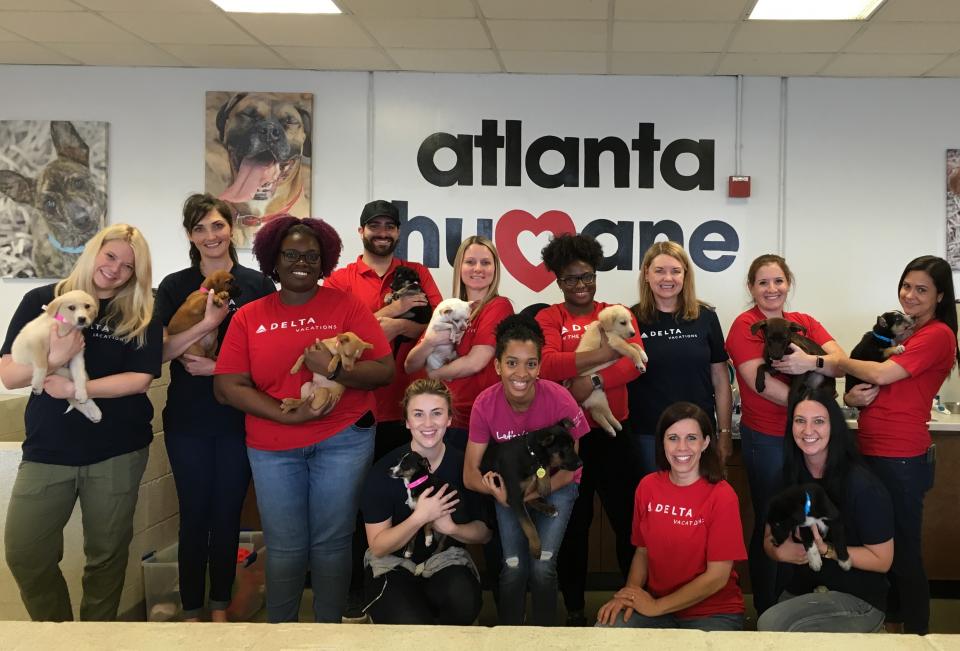 DLV Employees partner with Animal Humane Society