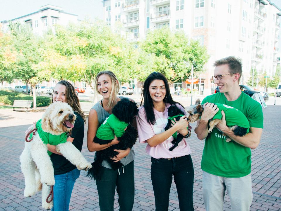 The dog days of summer last all year long in our canine-friendly office.